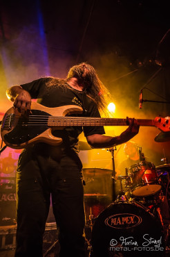 lion-twin-hirsch-nuernberg-16-9-2014_0063