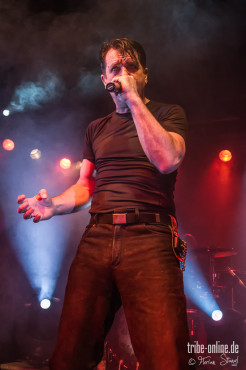 maerzfeld-hirsch-nuernberg-02-05-2013-02