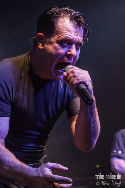 maerzfeld-hirsch-nuernberg-02-05-2013-24