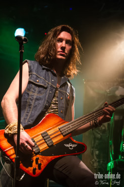 reverse-grip-musichall-geiselwind-04-04-2013-15