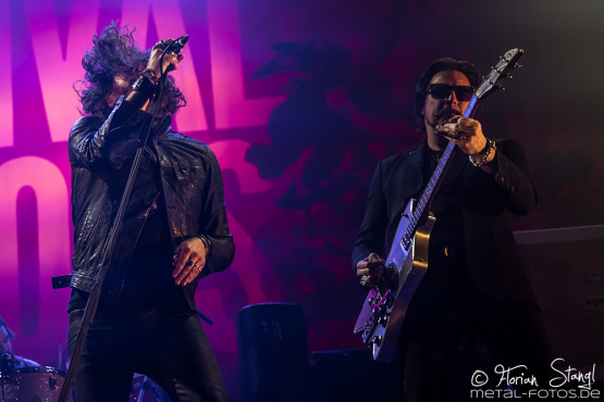 rival-sons-arena-nuernberg-21-11-2015_0026