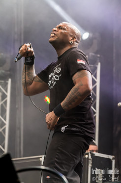 sepultura-out-and-loud-29-5-2014_0015