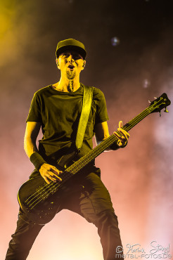 System of a Down @ Rock im Park 2017, 3.6.2017