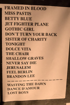 The 69 Eyes @ Hirsch Nürnberg, 17.11.2016