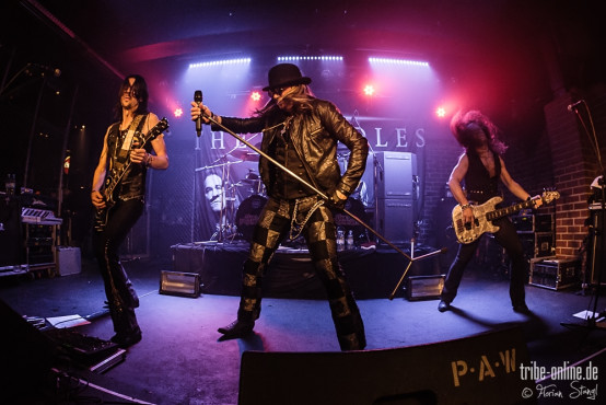 the-poodles-rockfabrik-nuernberg-16-03-2014_0019