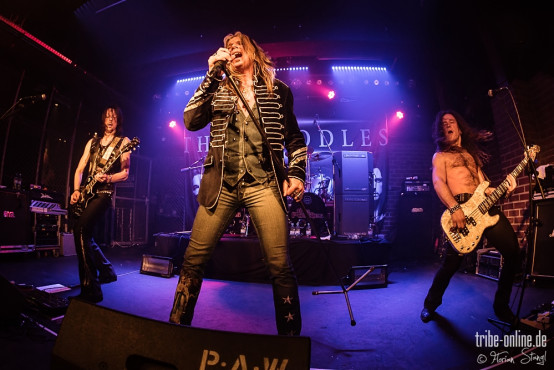 the-poodles-rockfabrik-nuernberg-16-03-2014_0034