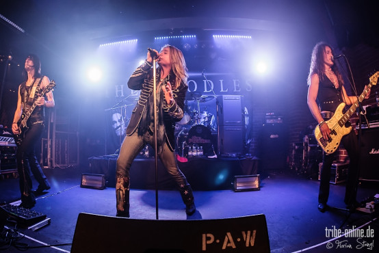 the-poodles-rockfabrik-nuernberg-16-03-2014_0105