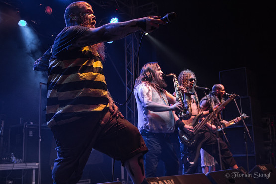 trollfest-heidenfest-2-11-2012-geiselwind-24