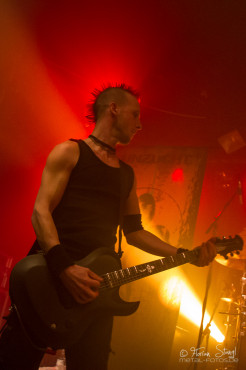 unzucht-hirsch-nuernberg-7-2-2013-24