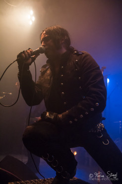 unzucht-hirsch-nuernberg-7-2-2013-32