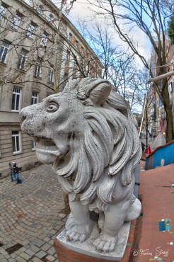 wien-vienna-2012-hundertwasserhaus-6
