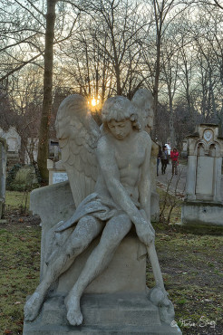 wien-vienna-2012-st-marxer-friedhof-1