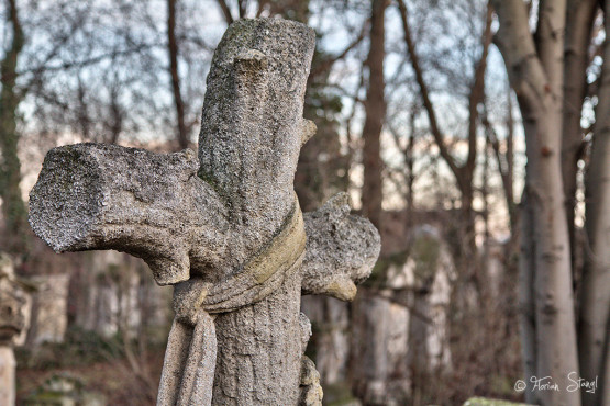 wien-vienna-2012-st-marxer-friedhof-24