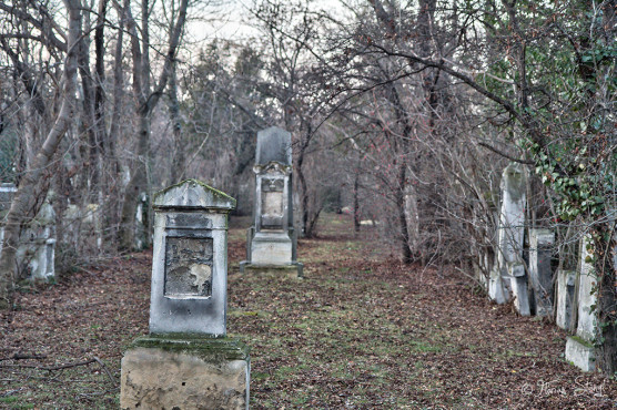 wien-vienna-2012-st-marxer-friedhof-25
