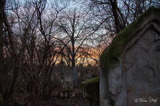 wien-vienna-2012-st-marxer-friedhof-40