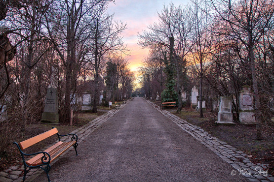 wien-vienna-2012-st-marxer-friedhof-43