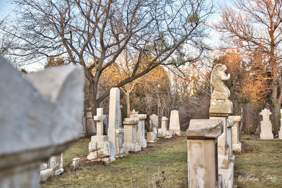 wien-vienna-2012-st-marxer-friedhof-6