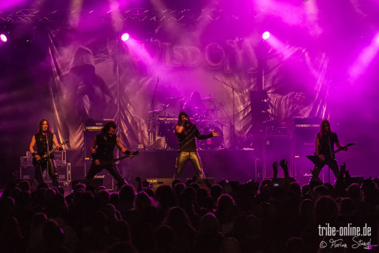 wisdom-beastival-2013-01-06-2013-07