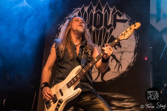 wolf-posthalle-wuerzburg-31-01-2015_0029